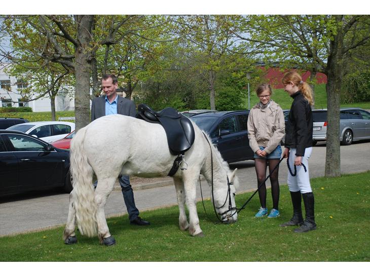 {{currentPhoto.altText}} billede {{currentPhoto.number}}