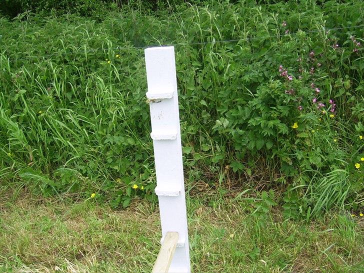 Hjemmelavet spring - Endu tætter..!

(det er jord der sidder på den) billede 10