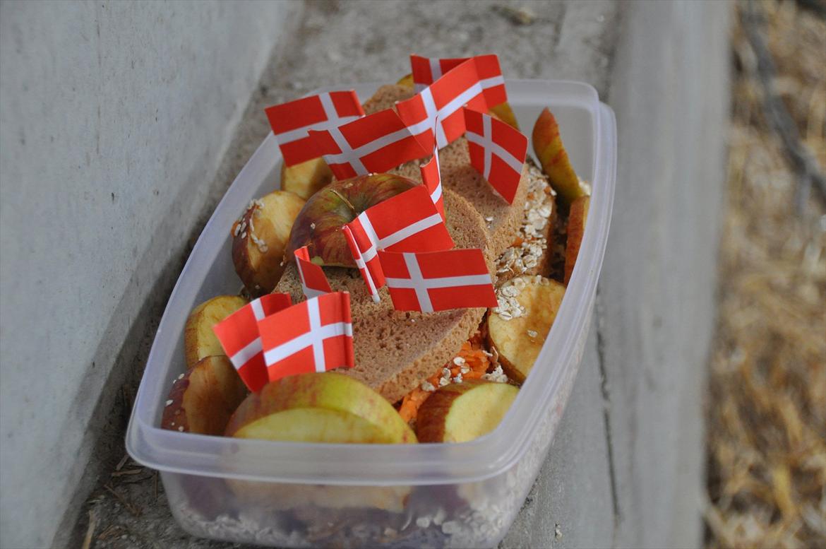 Pixeline 12-års fødselsdag :-) billede 1