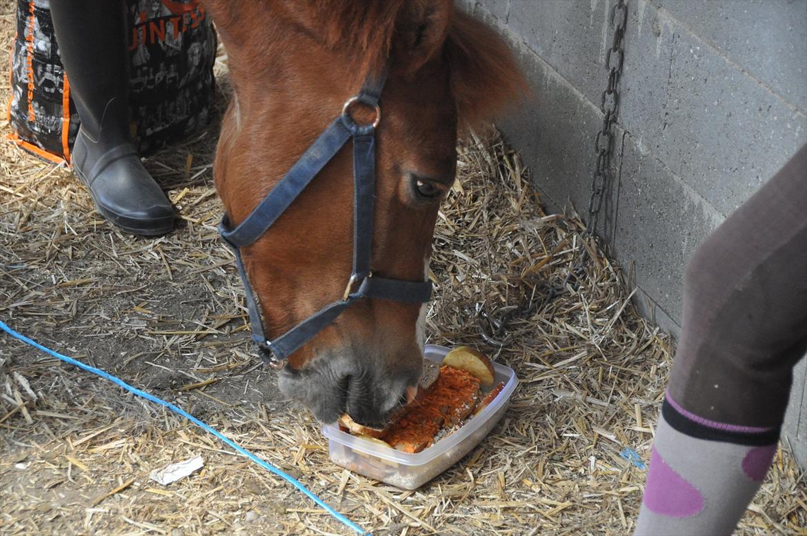 Pixeline 12-års fødselsdag :-) billede 3