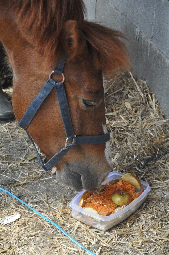 Pixeline 12-års fødselsdag :-) billede 4