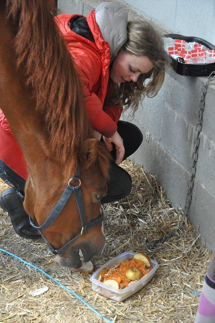 Pixeline 12-års fødselsdag :-) billede 5