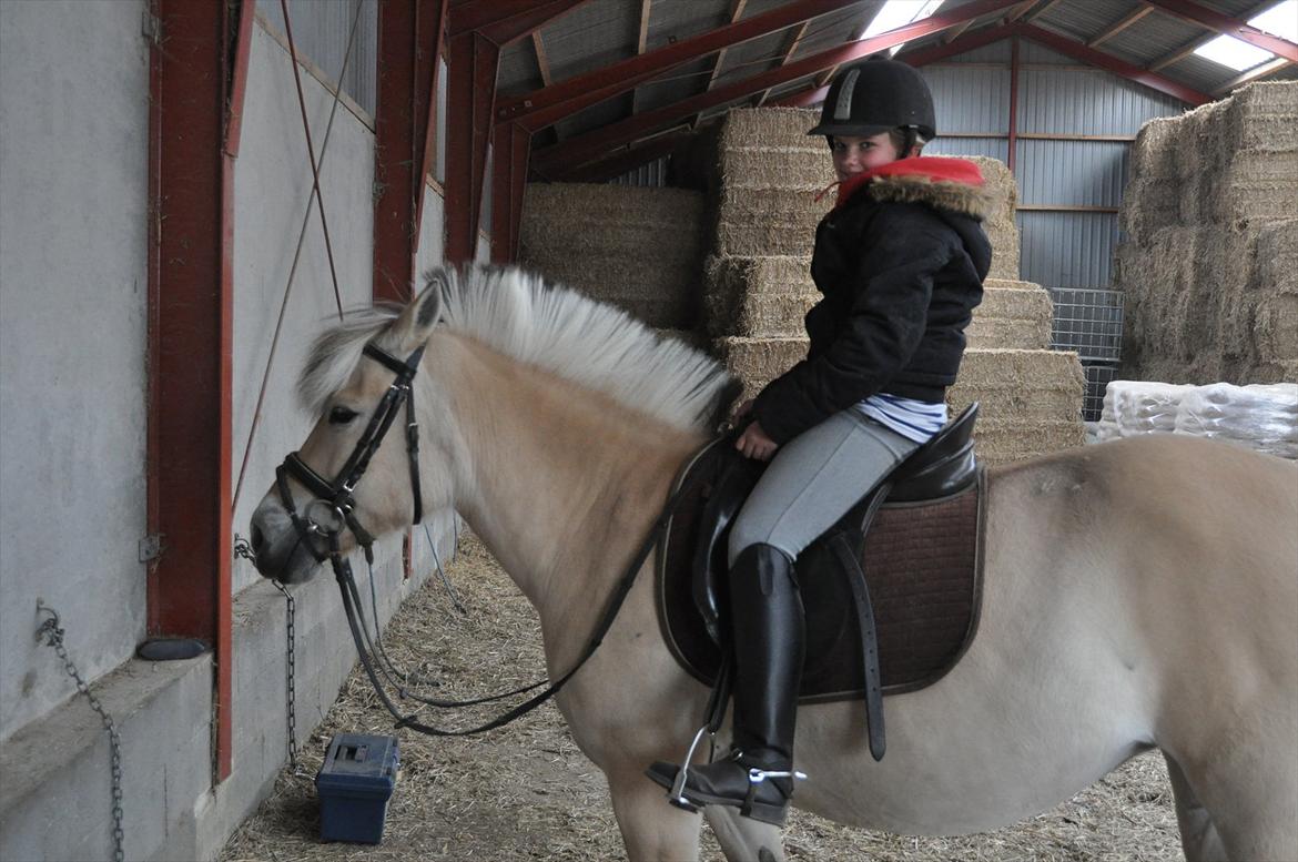 Pixeline 12-års fødselsdag :-) billede 8