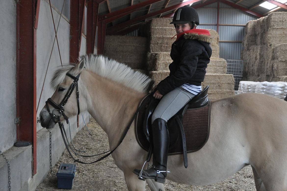 Pixeline 12-års fødselsdag :-) billede 10