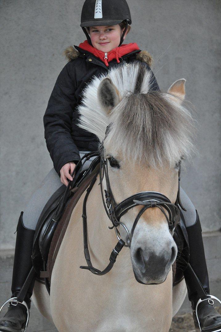 Pixeline 12-års fødselsdag :-) billede 11