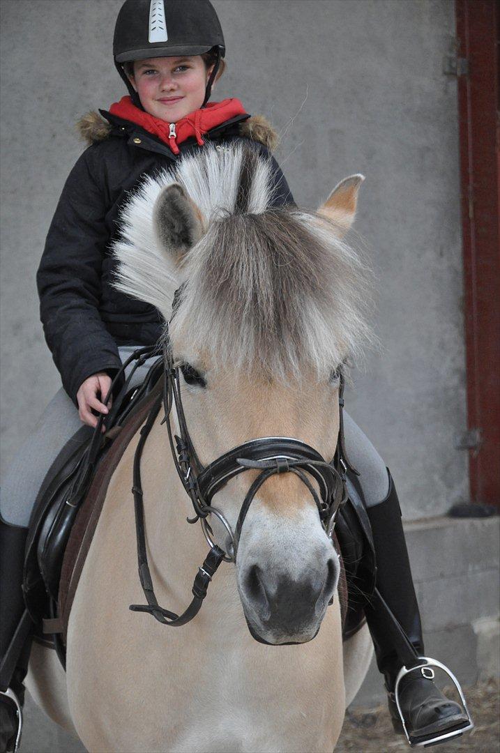 Pixeline 12-års fødselsdag :-) billede 12