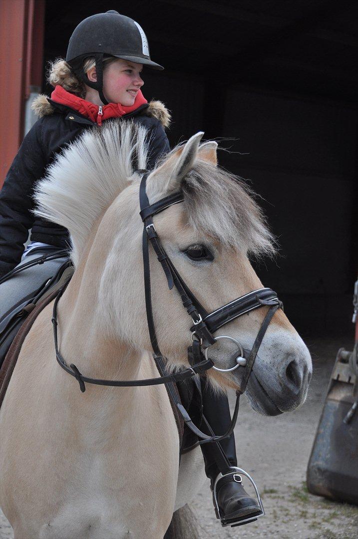 Pixeline 12-års fødselsdag :-) billede 15