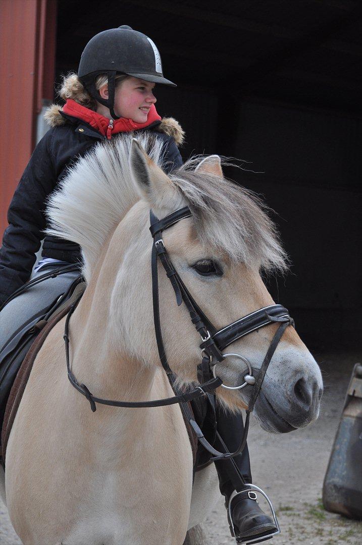 Pixeline 12-års fødselsdag :-) billede 16