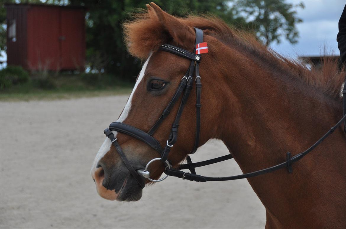 Pixeline 12-års fødselsdag :-) billede 21