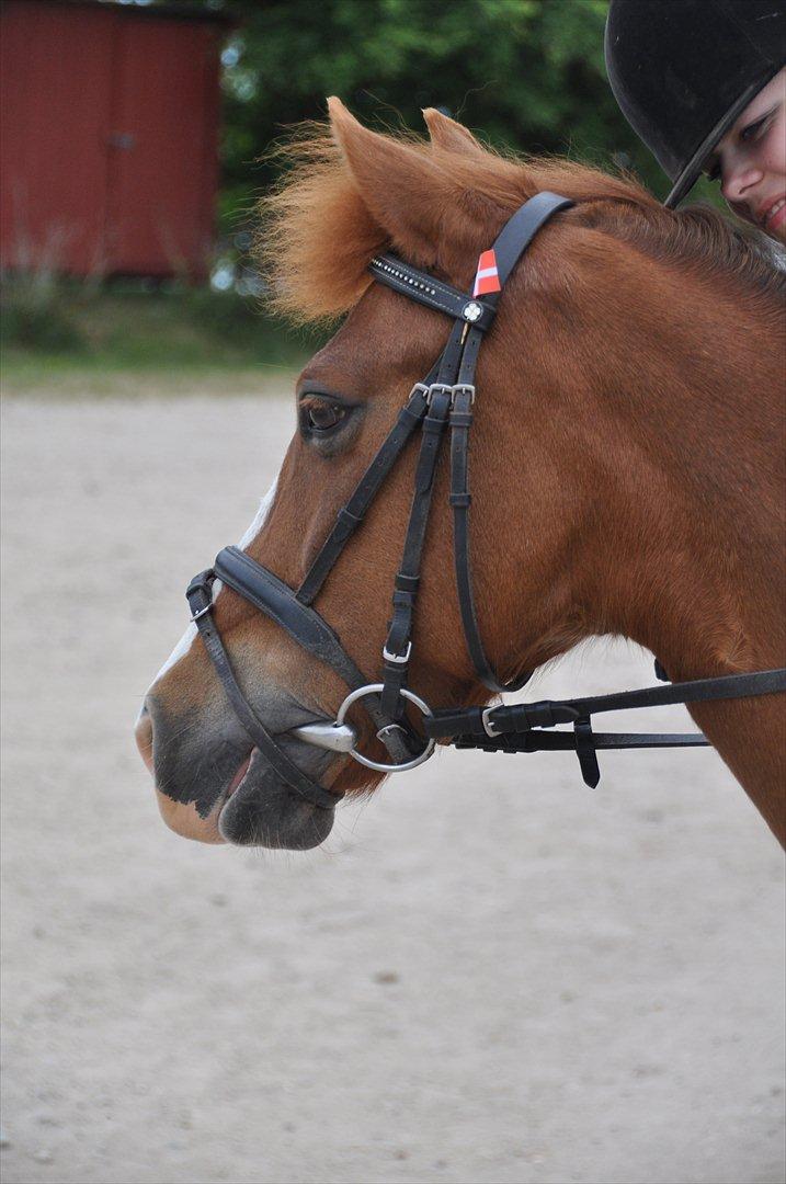 Pixeline 12-års fødselsdag :-) billede 22