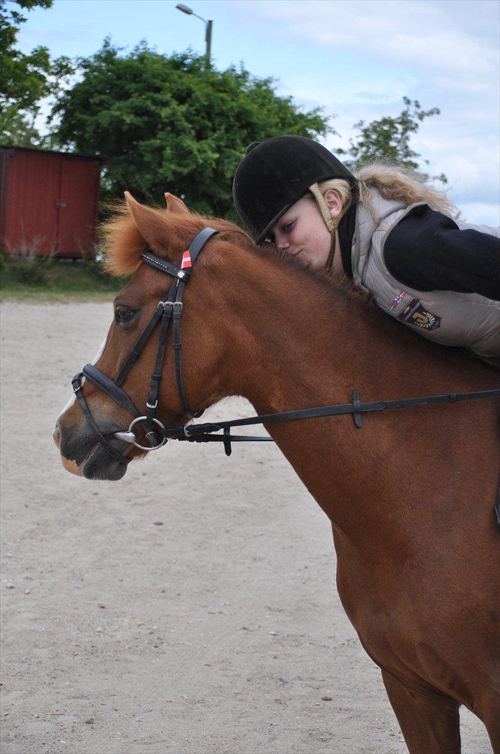 Pixeline 12-års fødselsdag :-) billede 23