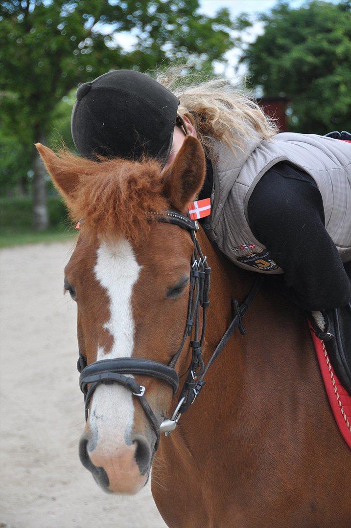 Pixeline 12-års fødselsdag :-) billede 25