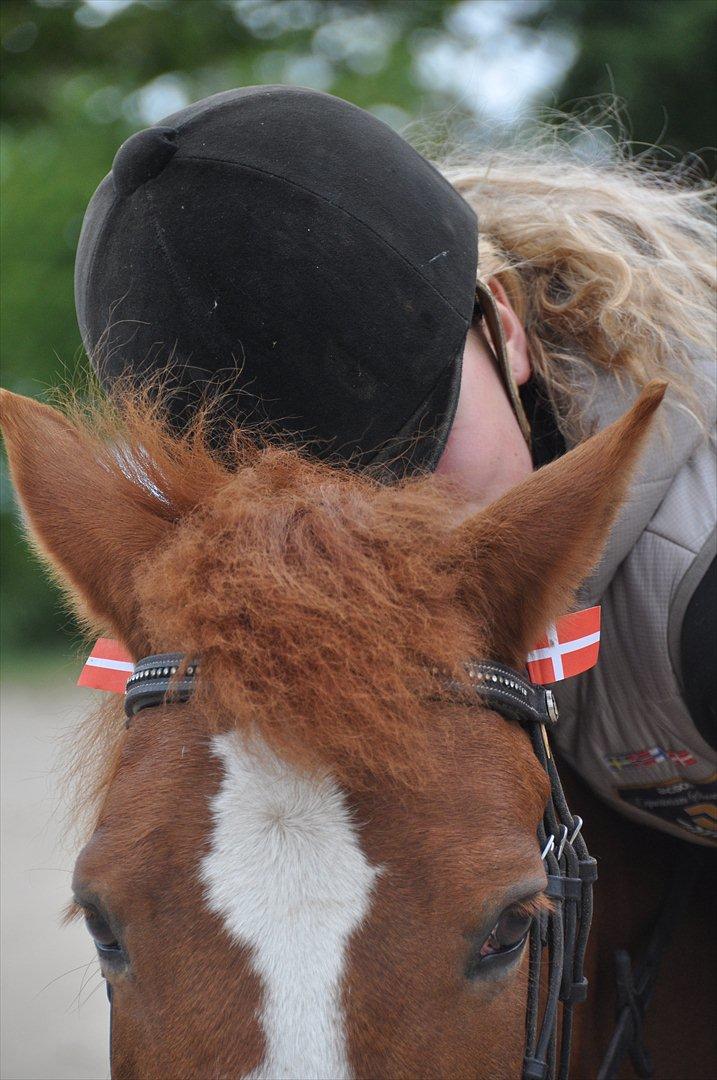 Pixeline 12-års fødselsdag :-) billede 27