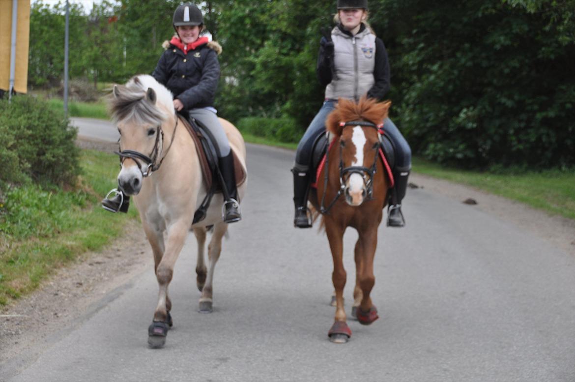 Pixeline 12-års fødselsdag :-) billede 29