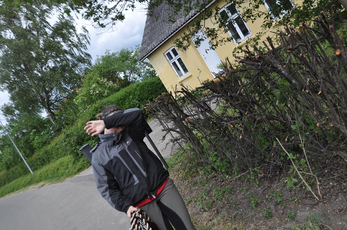 Pixeline 12-års fødselsdag :-) billede 39