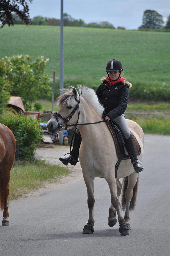 Pixeline 12-års fødselsdag :-) billede 41