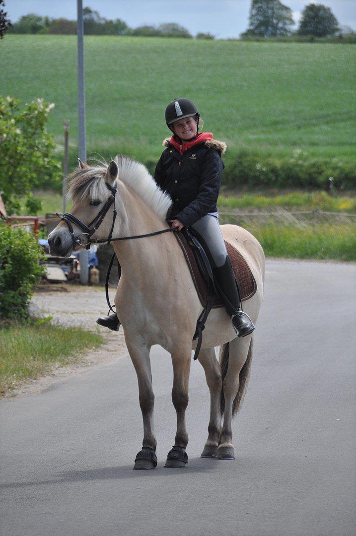 Pixeline 12-års fødselsdag :-) billede 42