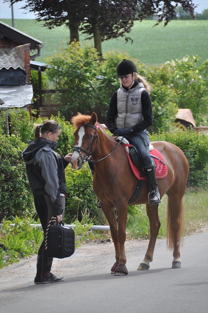 Pixeline 12-års fødselsdag :-) billede 44