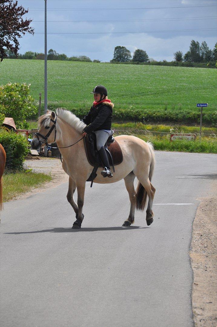 Pixeline 12-års fødselsdag :-) billede 45