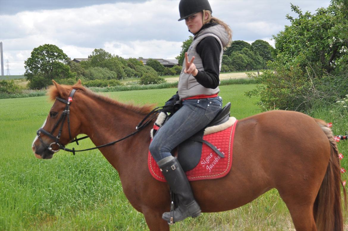 Pixeline 12-års fødselsdag :-) billede 46