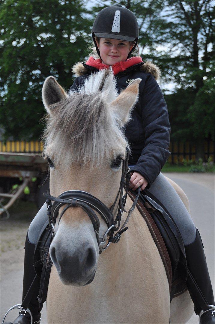 Pixeline 12-års fødselsdag :-) billede 49