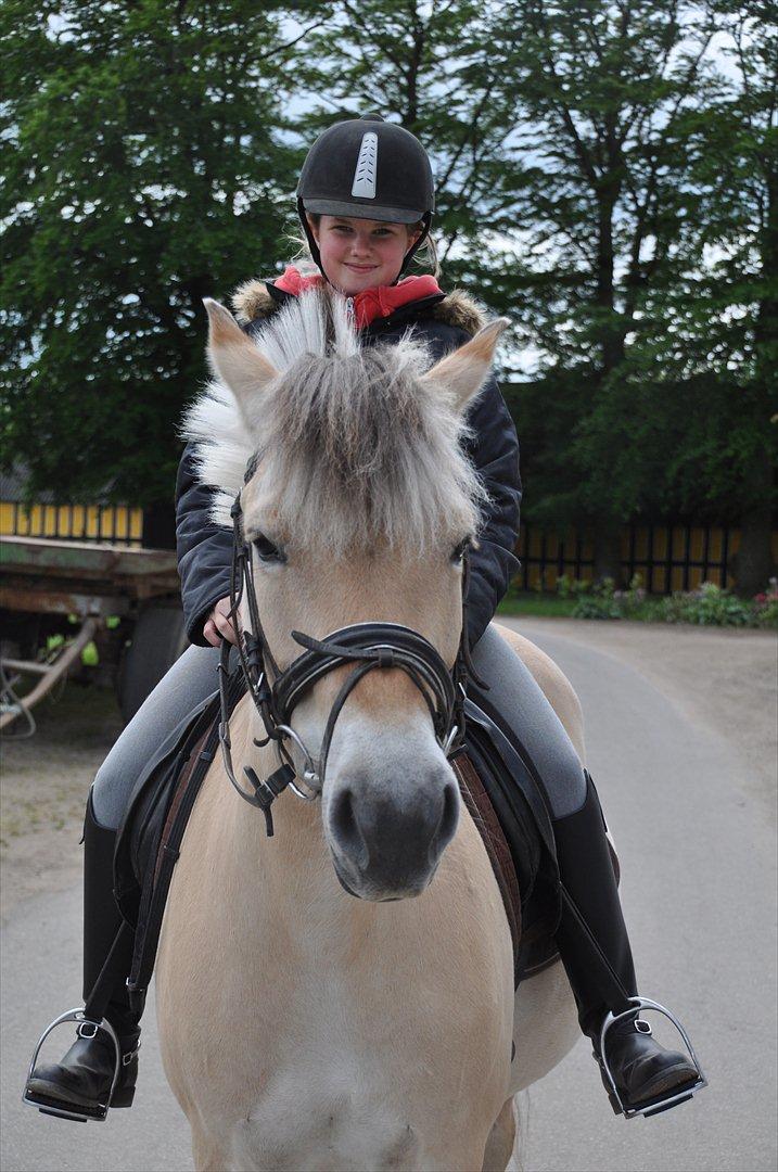 Pixeline 12-års fødselsdag :-) billede 52