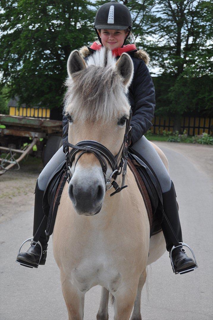 Pixeline 12-års fødselsdag :-) billede 53