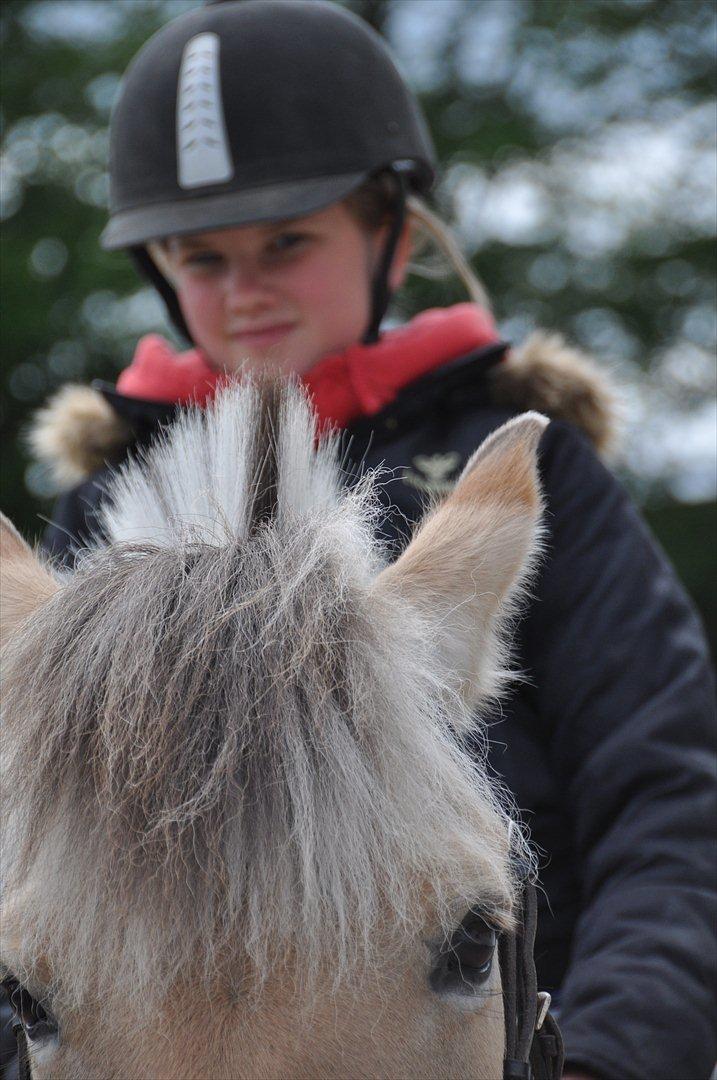 Pixeline 12-års fødselsdag :-) billede 55