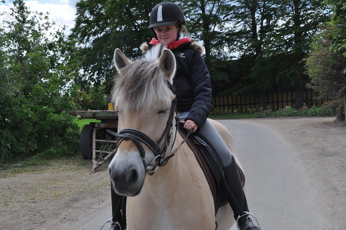 Pixeline 12-års fødselsdag :-) billede 56