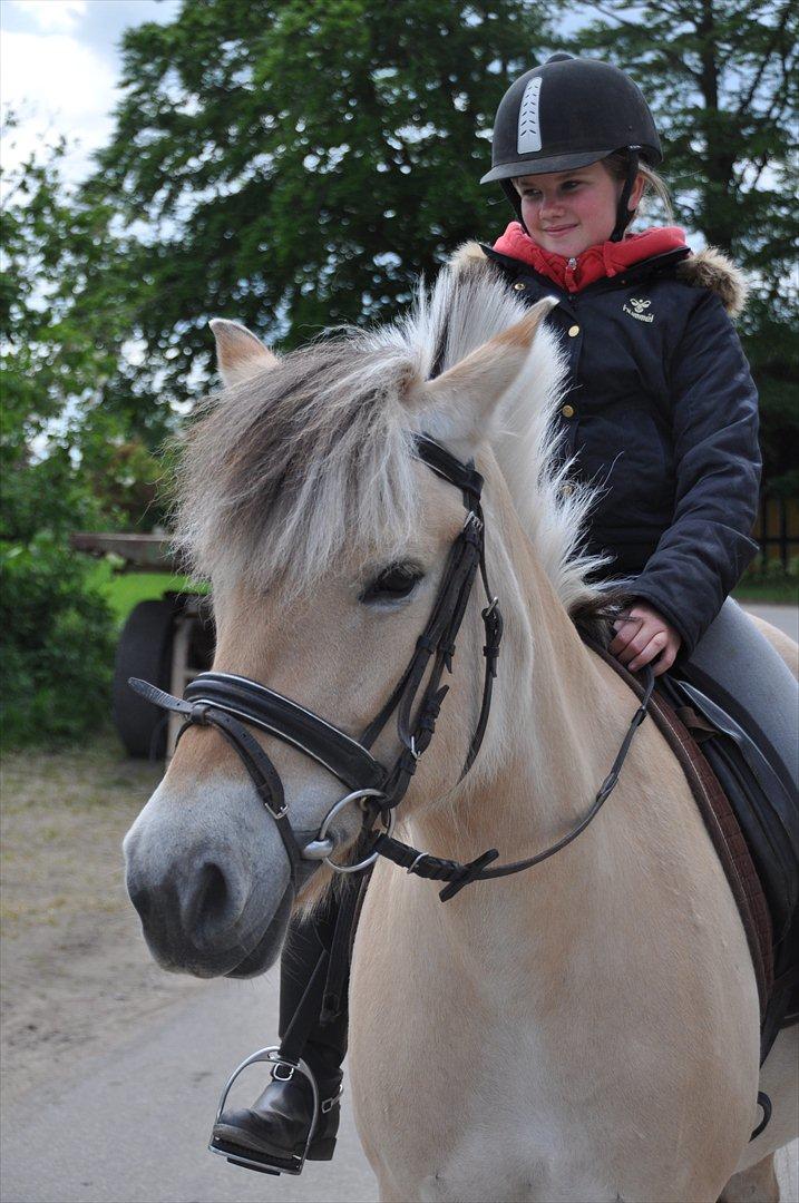 Pixeline 12-års fødselsdag :-) billede 59