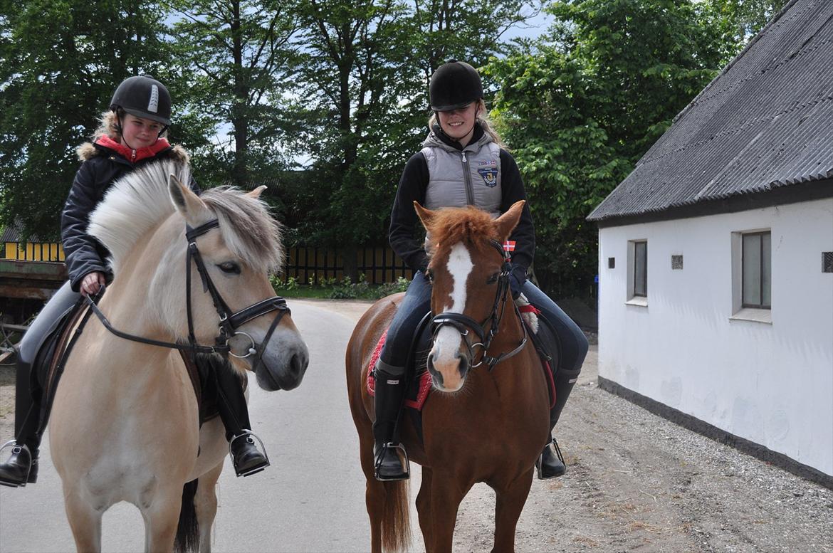 Pixeline 12-års fødselsdag :-) billede 62