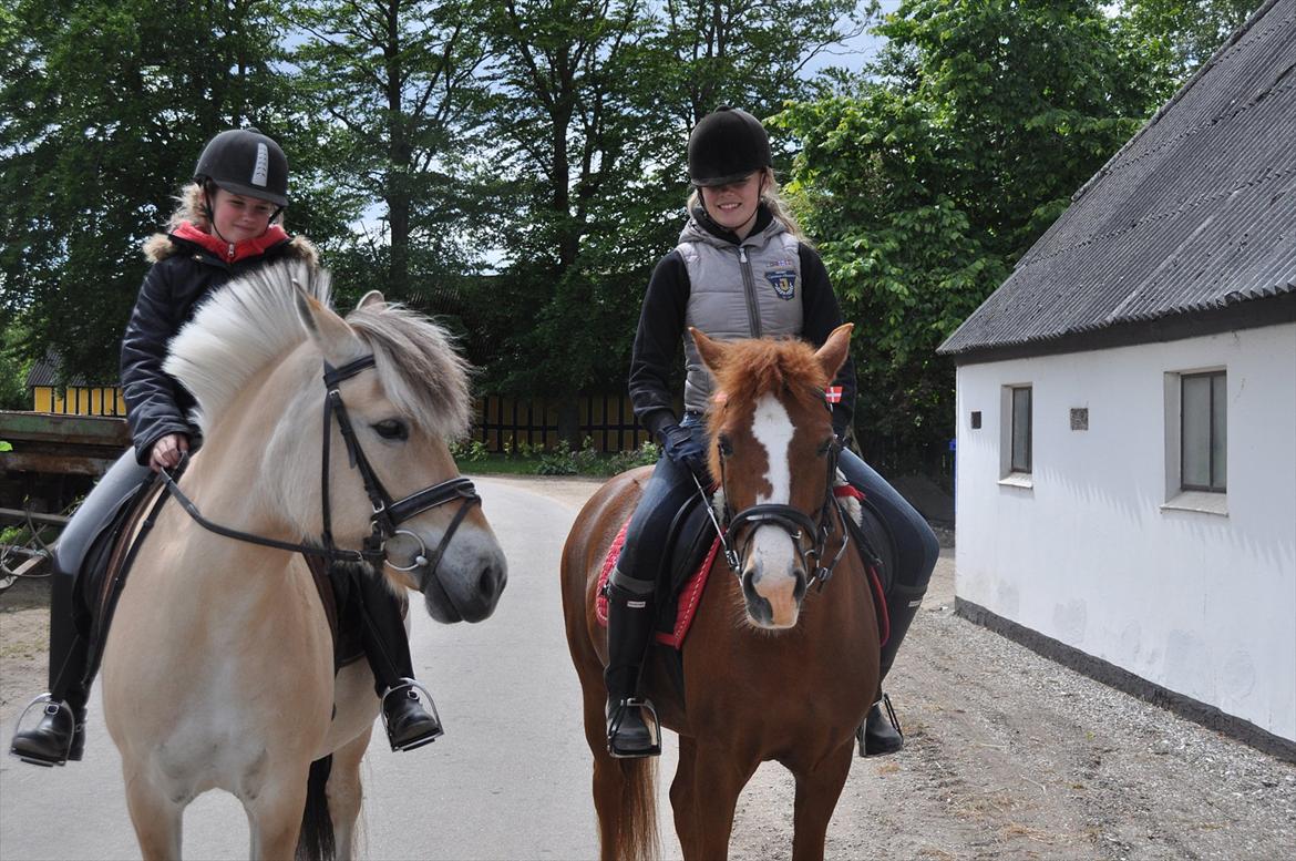 Pixeline 12-års fødselsdag :-) billede 70