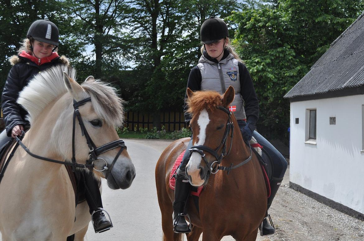 Pixeline 12-års fødselsdag :-) billede 75