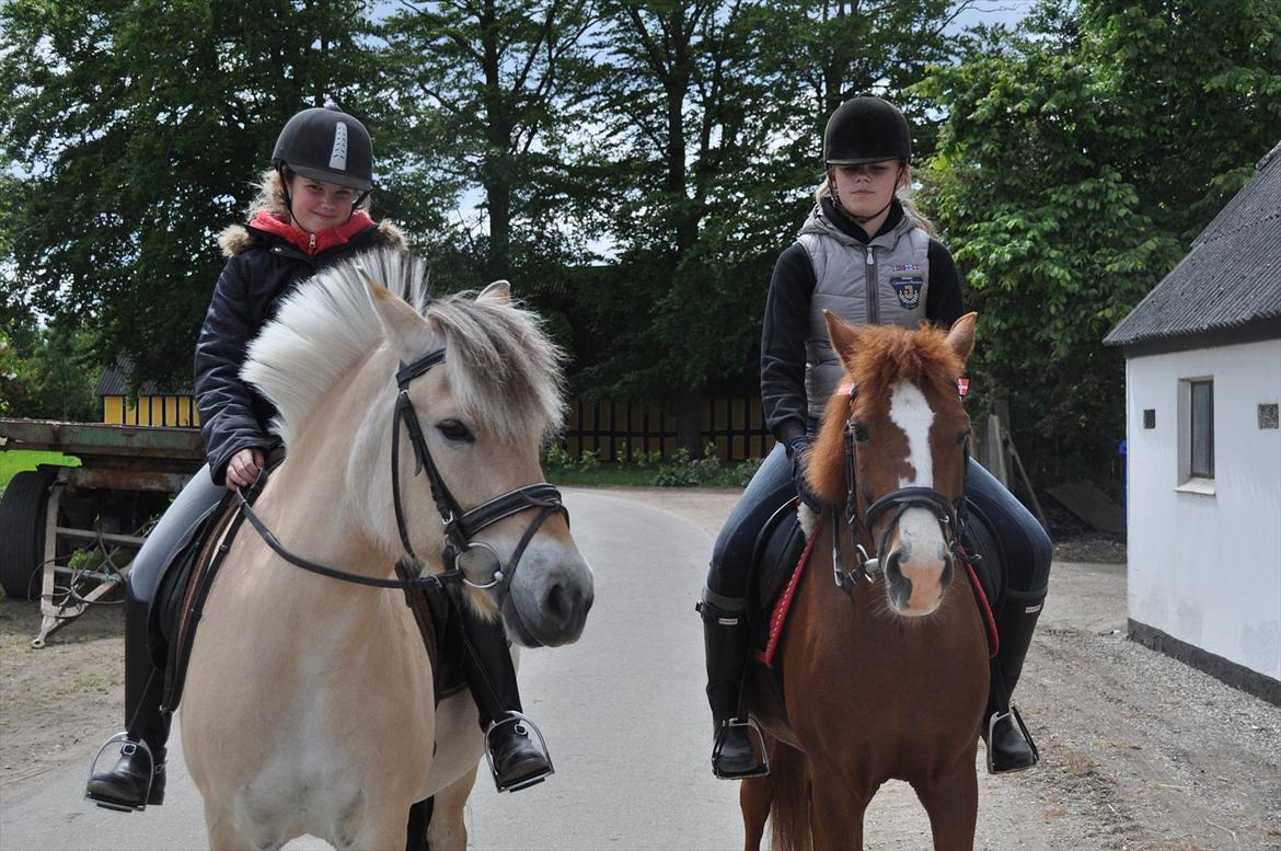 Pixeline 12-års fødselsdag :-) billede 76