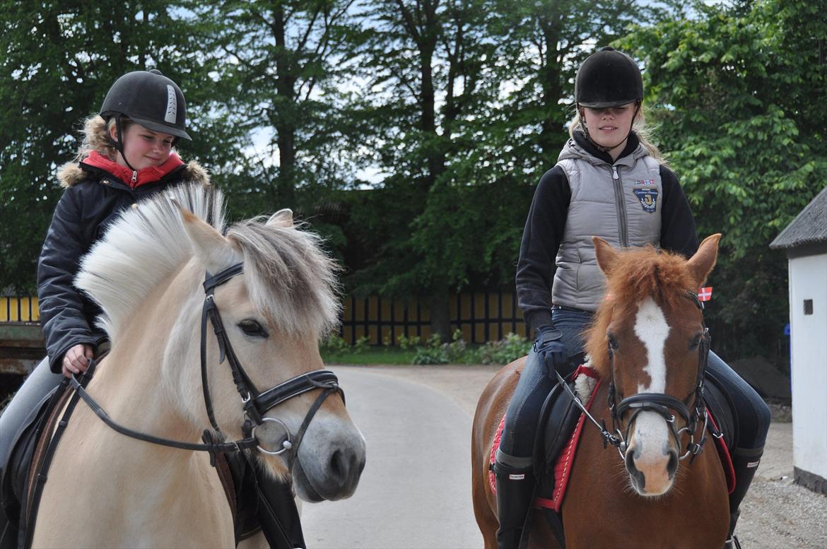 Pixeline 12-års fødselsdag :-) billede 77