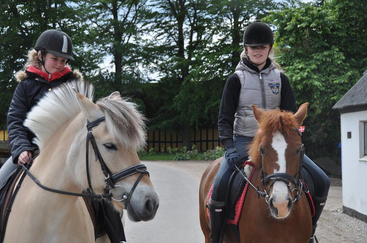 Pixeline 12-års fødselsdag :-) billede 78