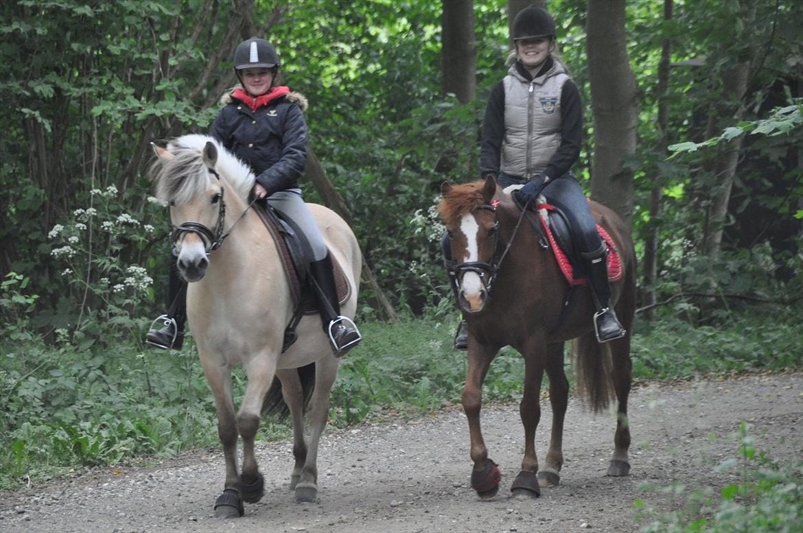 Pixeline 12-års fødselsdag :-) billede 79