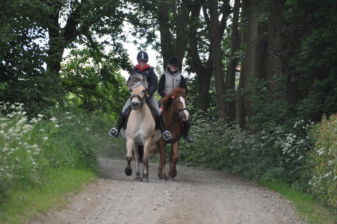 Pixeline 12-års fødselsdag :-) billede 80