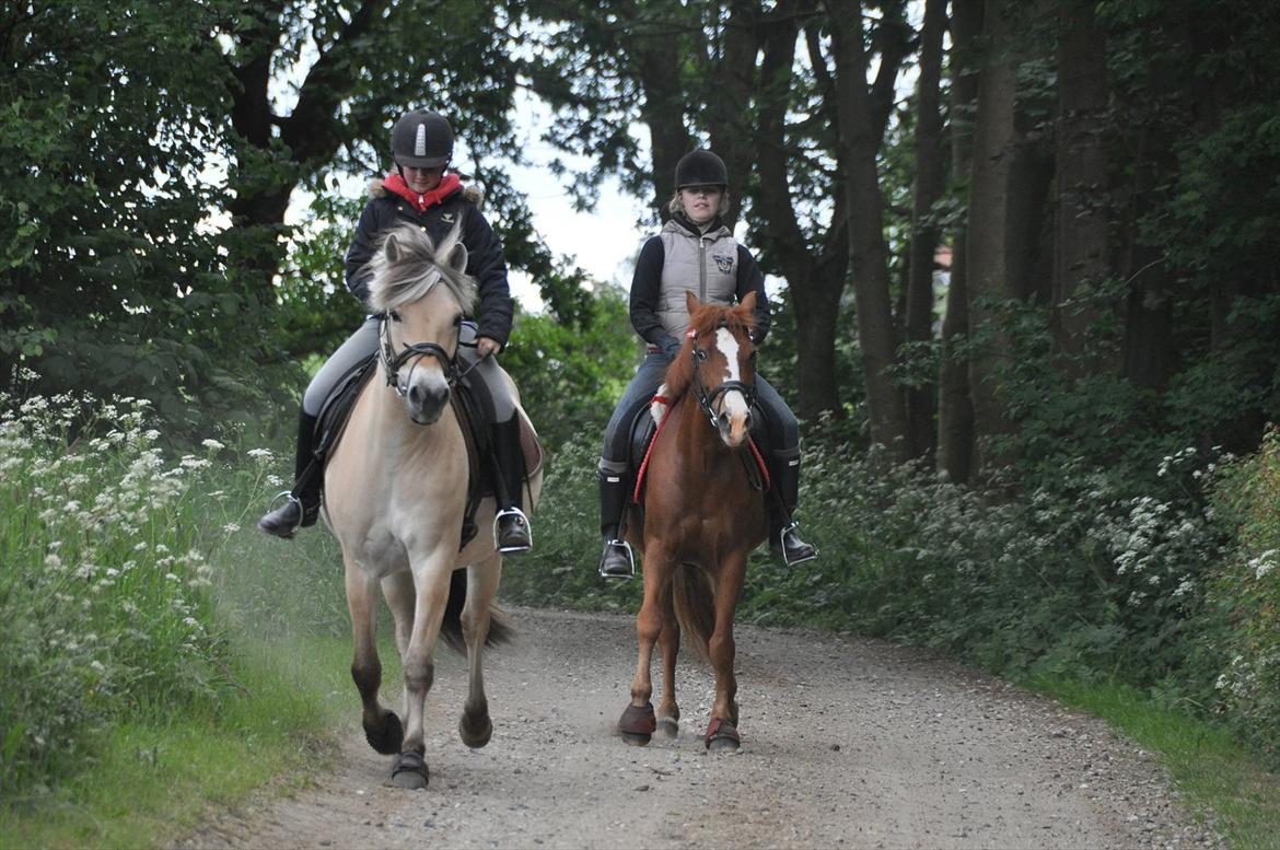 Pixeline 12-års fødselsdag :-) billede 81