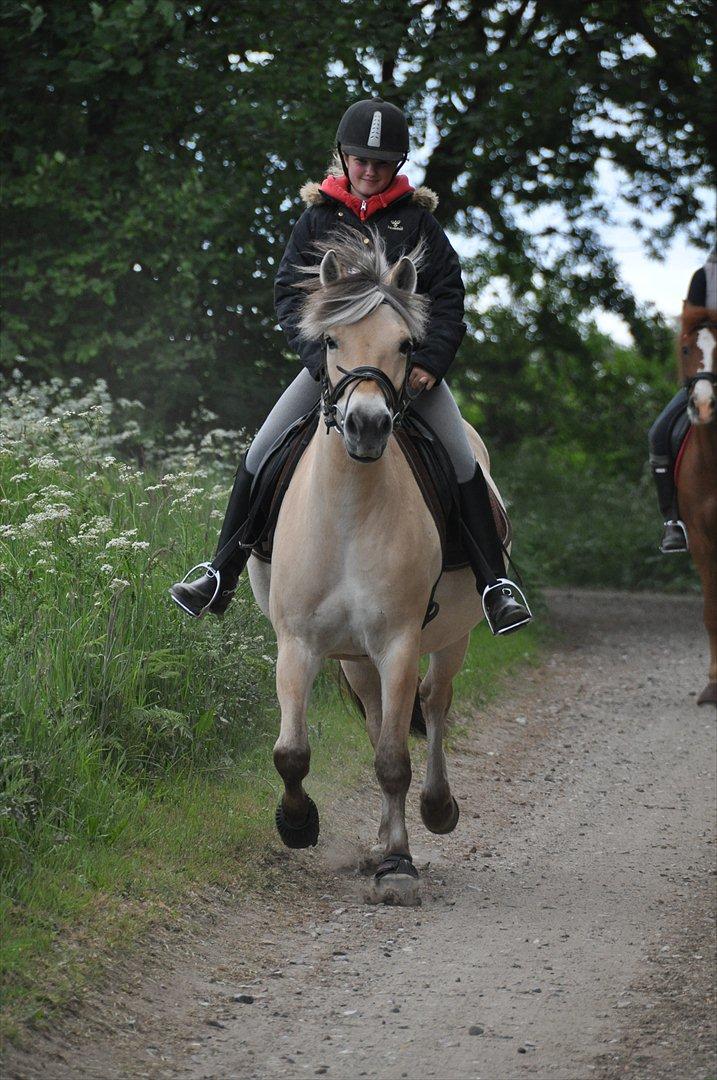 Pixeline 12-års fødselsdag :-) billede 82