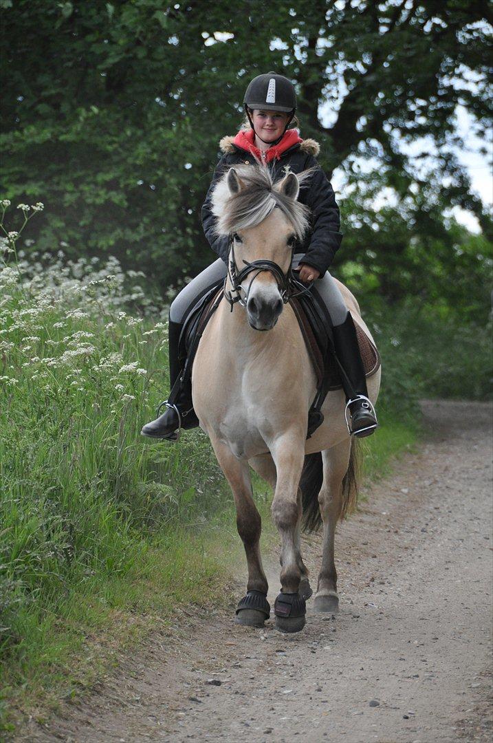 Pixeline 12-års fødselsdag :-) billede 83