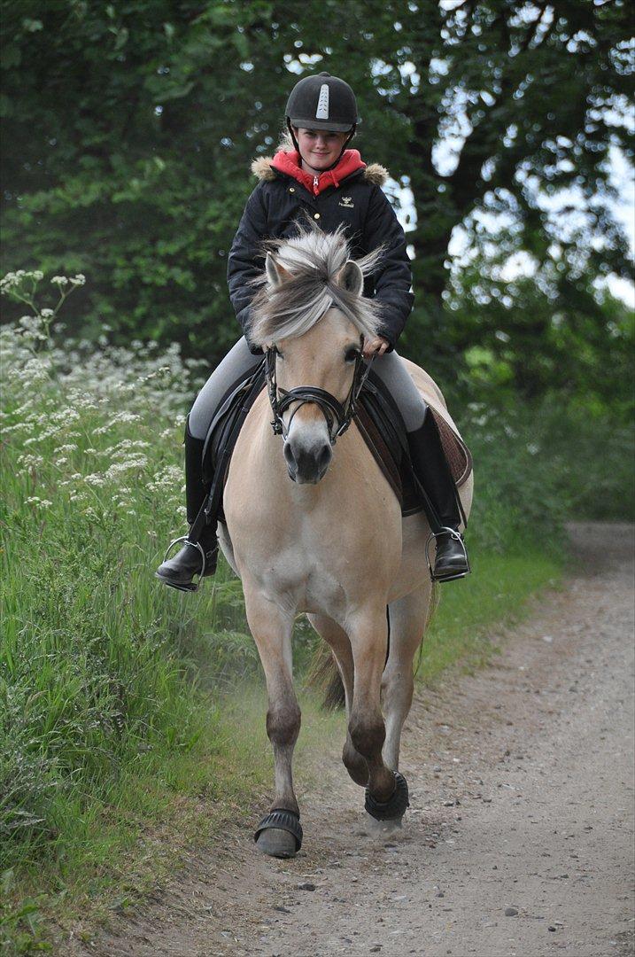 Pixeline 12-års fødselsdag :-) billede 84