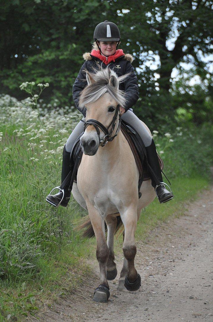 Pixeline 12-års fødselsdag :-) billede 85