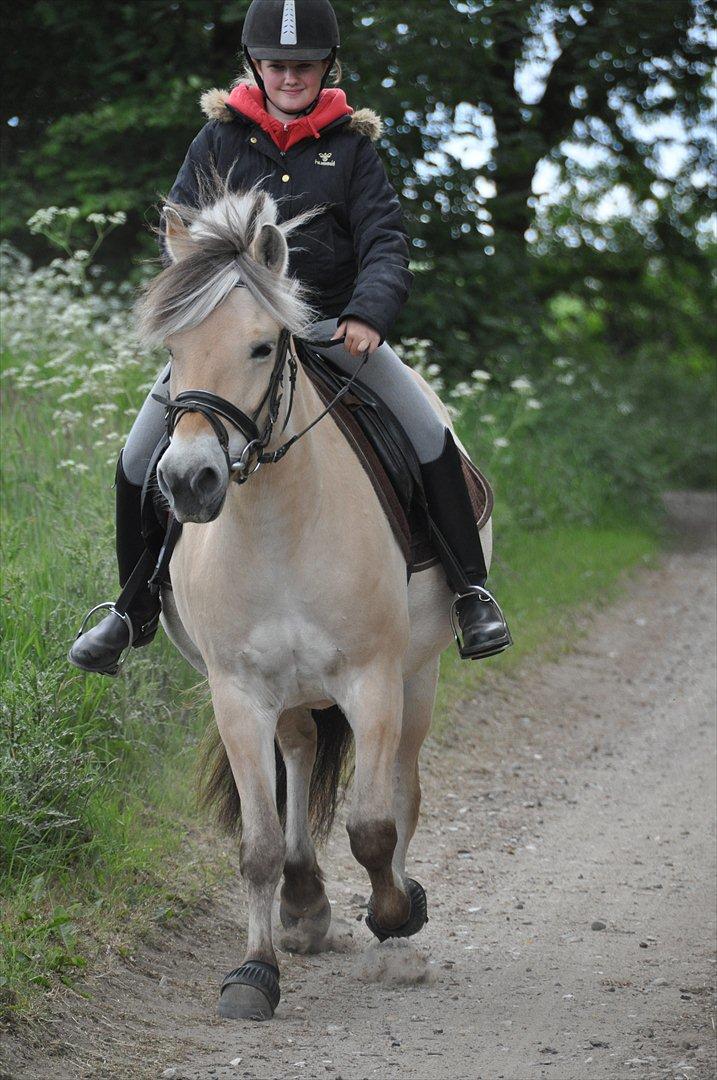 Pixeline 12-års fødselsdag :-) billede 86