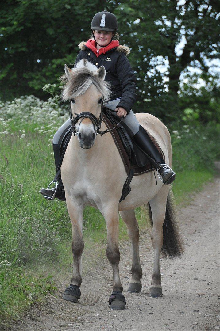 Pixeline 12-års fødselsdag :-) billede 88