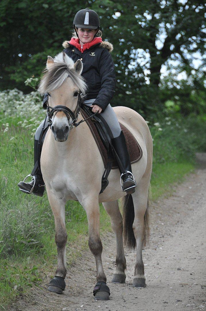 Pixeline 12-års fødselsdag :-) billede 90