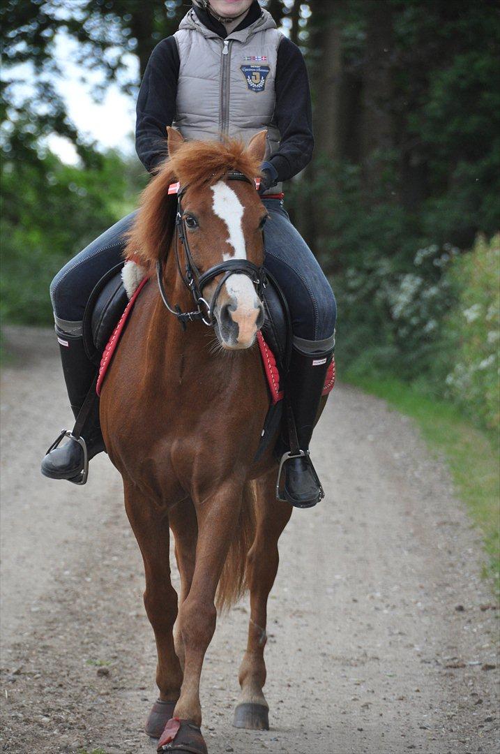 Pixeline 12-års fødselsdag :-) billede 91