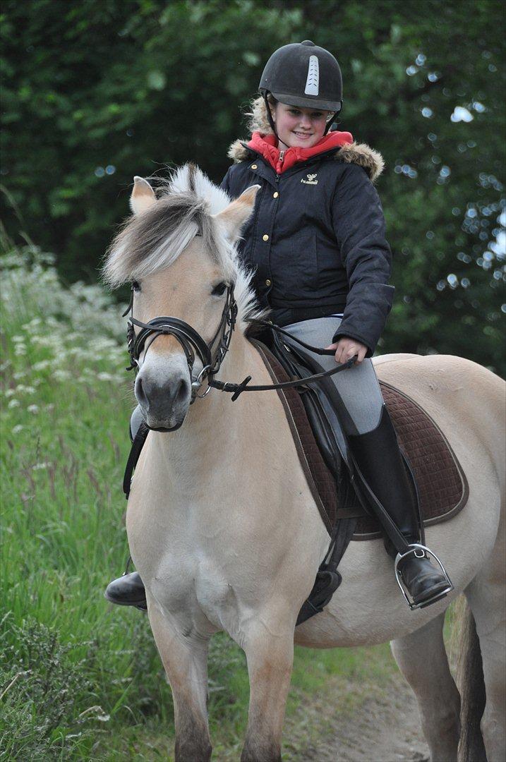 Pixeline 12-års fødselsdag :-) billede 92