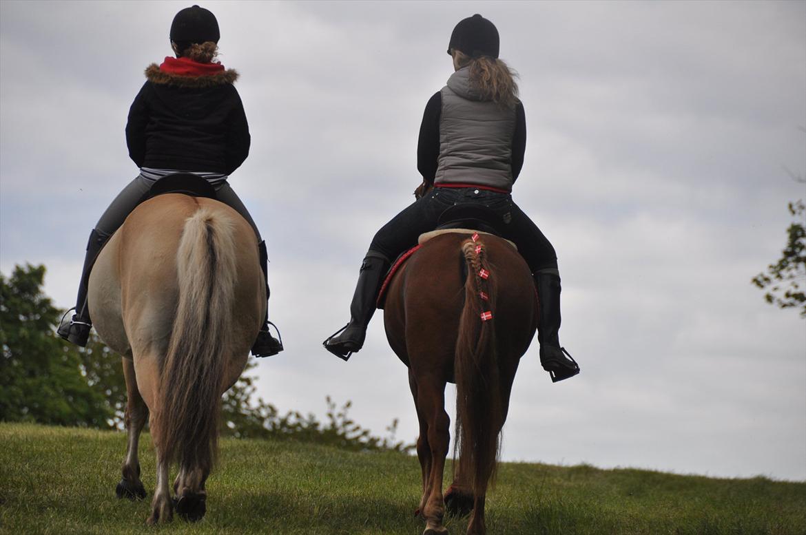 Pixeline 12-års fødselsdag :-) billede 95