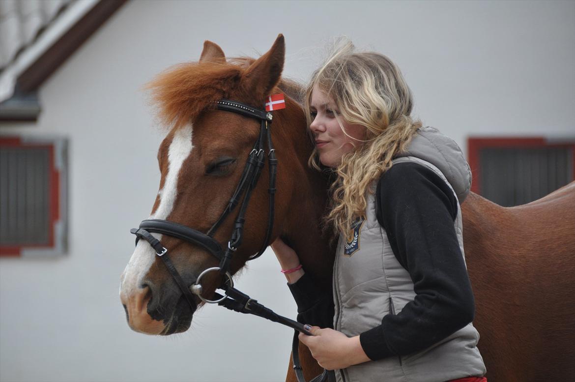 Pixeline 12-års fødselsdag :-) billede 99